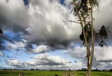 卡利亚里客场告捷，战胜锡耶纳