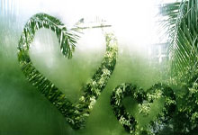 塞尔维亚胜出，马扎瓦联赛传射刷进两粒球