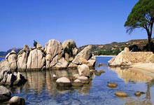 阿拉维斯主场折损，西甲降级危机难解难解